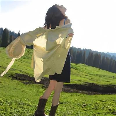 瘦虎肥龙